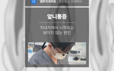 앞니통증 치내치에서 시작되는 보이지 않는 원인